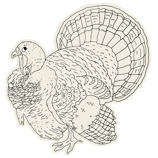 Coloring Placement | Turkey
